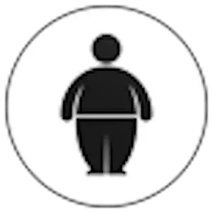 Zorrin Apps logo